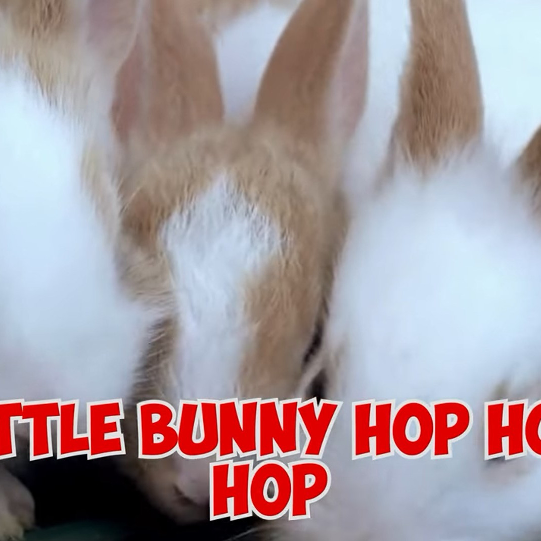 Majestic Tower Hotel